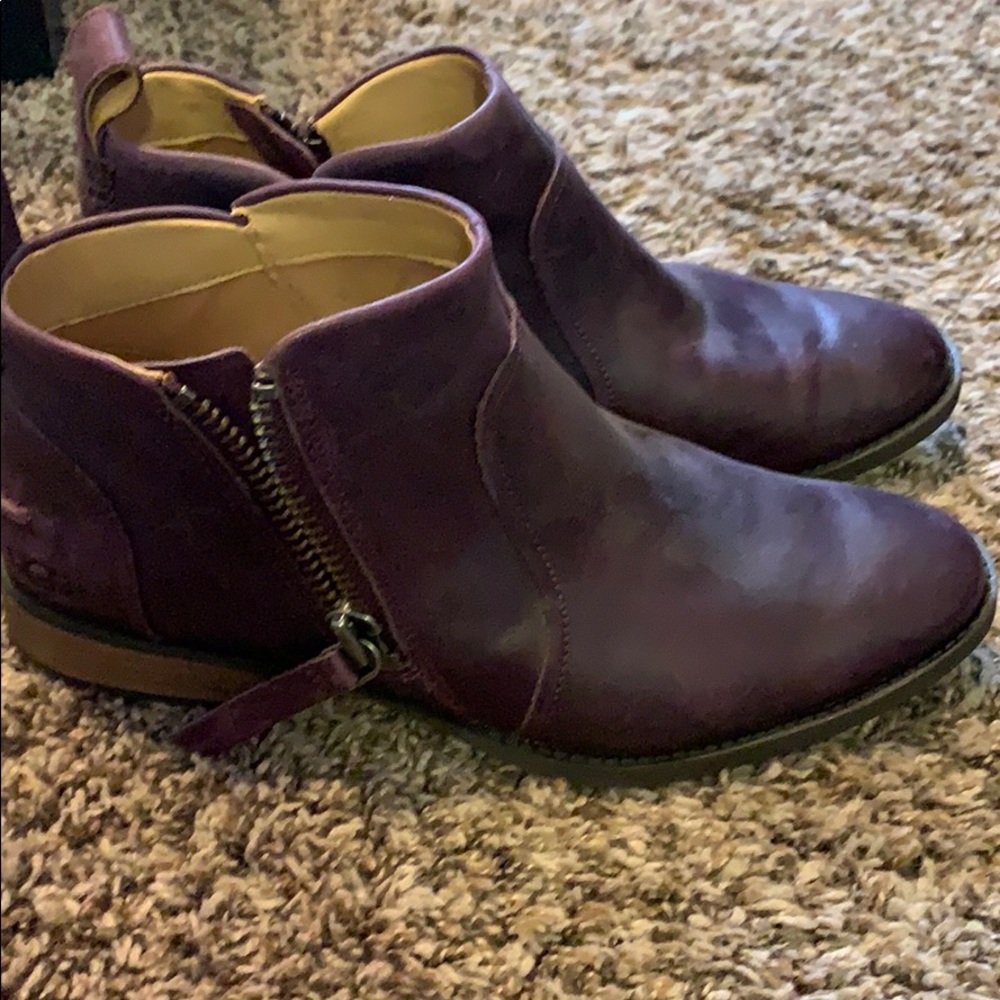 Brand New UGG booties